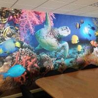 underwater wall mural