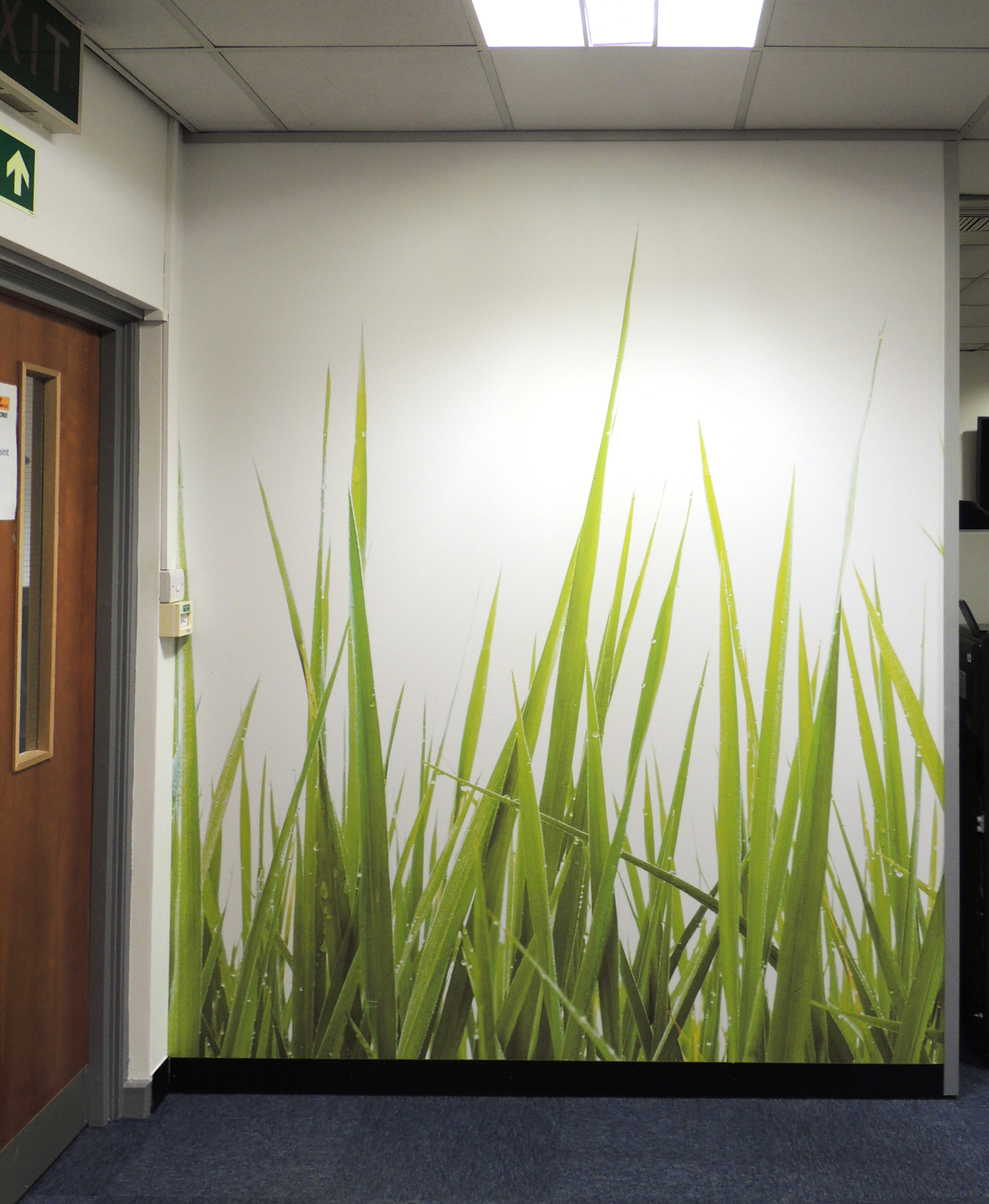 grass custom wallpaper for DHL