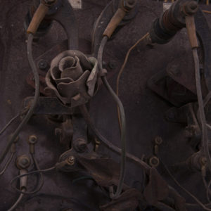 vintage rose dark wallpaper mural