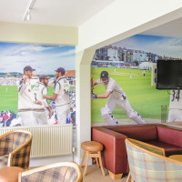 Custom Cricket Themed wallpaper mural