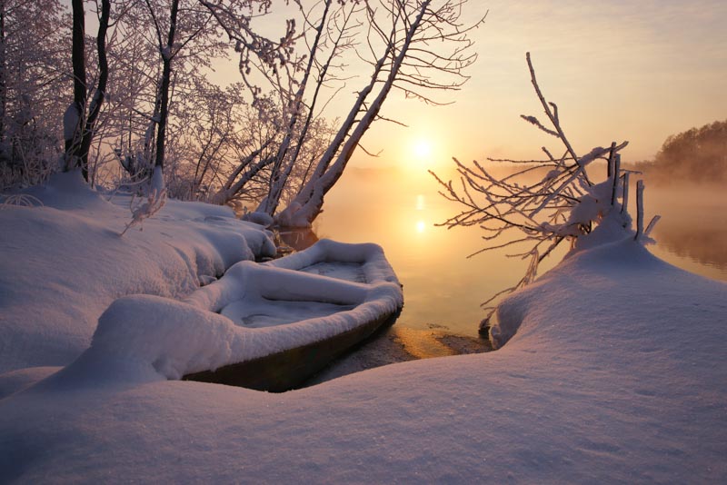 Shatura morning 1x Collection - Pictowall Custom Wallpaper