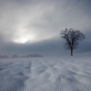 Winter Impression 1x Collection - Pictowall Custom Wallpaper