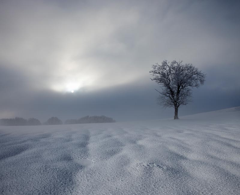 Winter Impression 1x Collection - Pictowall Custom Wallpaper