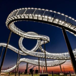 Tiger and Turtle at dawn 1x Collection - Pictowall Custom Wallpaper