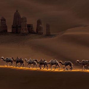 Castle and Camels 1x Collection - Pictowall Custom Wallpaper