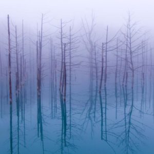 Misty Blue Pond 1x Collection - Pictowall Custom Wallpaper