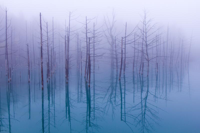 Misty Blue Pond 1x Collection - Pictowall Custom Wallpaper