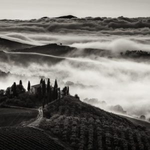 Tuscany 1x Collection - Pictowall Custom Wallpaper