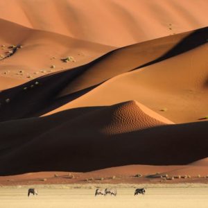 Namib Dunes 1x Collection - Pictowall Custom Wallpaper