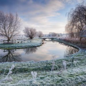 Frost on the Marshes 1x Collection - Pictowall Custom Wallpaper