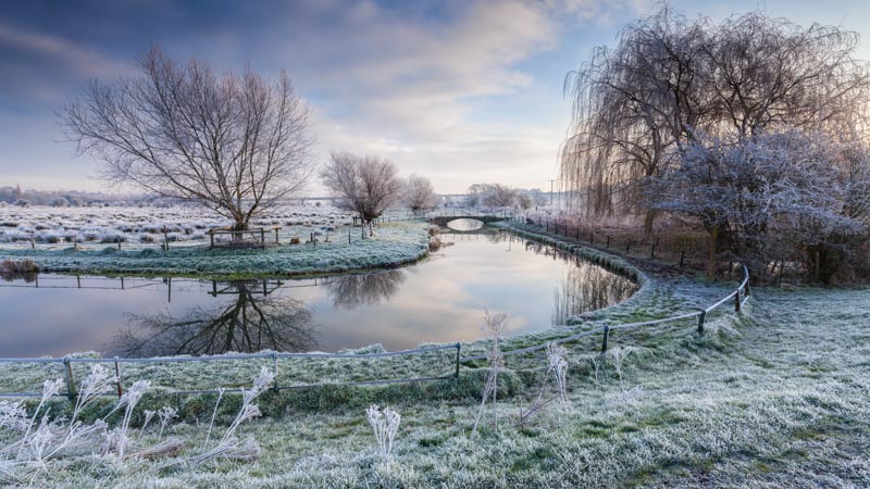 Frost on the Marshes 1x Collection - Pictowall Custom Wallpaper