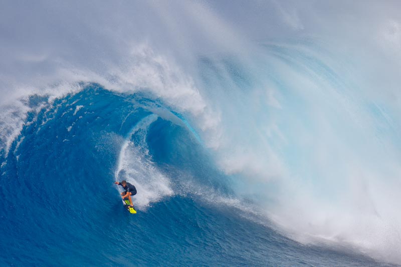 Surfing Jaws 1x Collection - Pictowall Custom Wallpaper