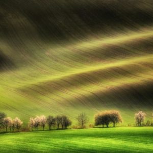 Moravian Fields 1x Collection - Pictowall Custom Wallpaper