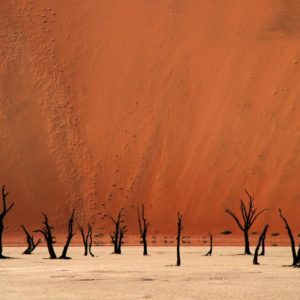 Deadvlei 1x Collection - Pictowall Custom Wallpaper