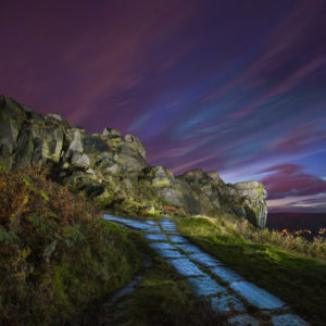 Cow & Calf Dusk sky Wallpaper mural