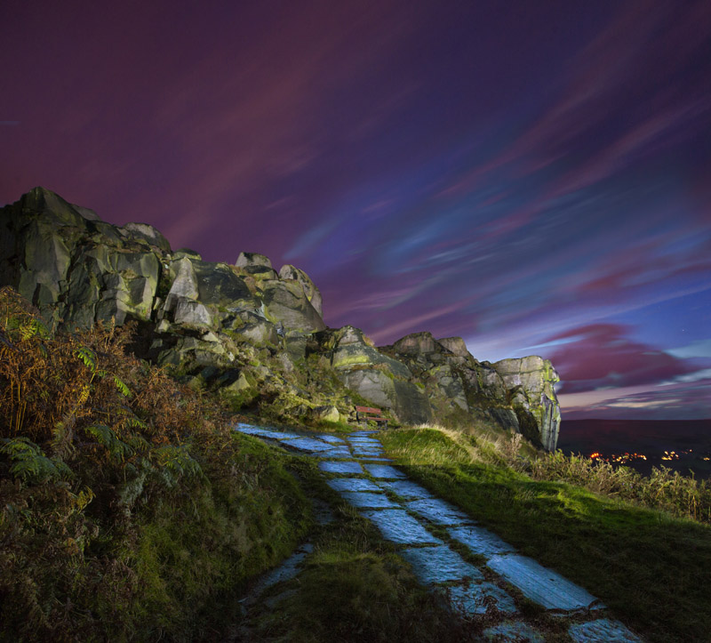 Cow & Calf Dusk sky Wallpaper mural
