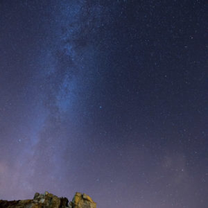 Cow & Calf Milky Way Wallpaper mural