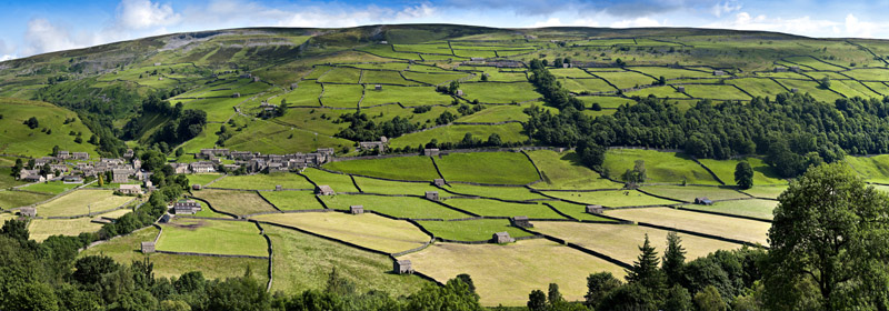 Gunnerside Bottoms Wallpaper mural