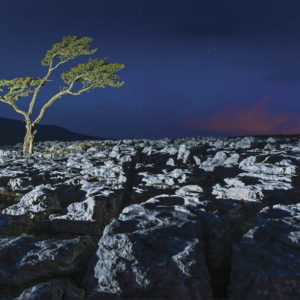 Limestone path Ingleborough Wallpaper mural