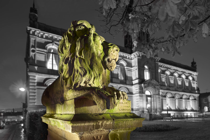 saltair lion Wallpaper mural