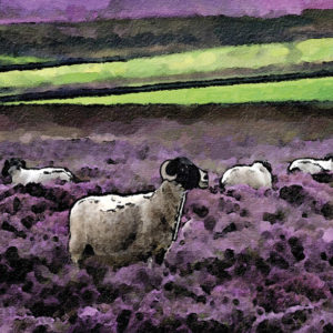 sheep in heather Wallpaper mural