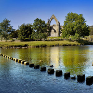 stepping stones Wallpaper mural