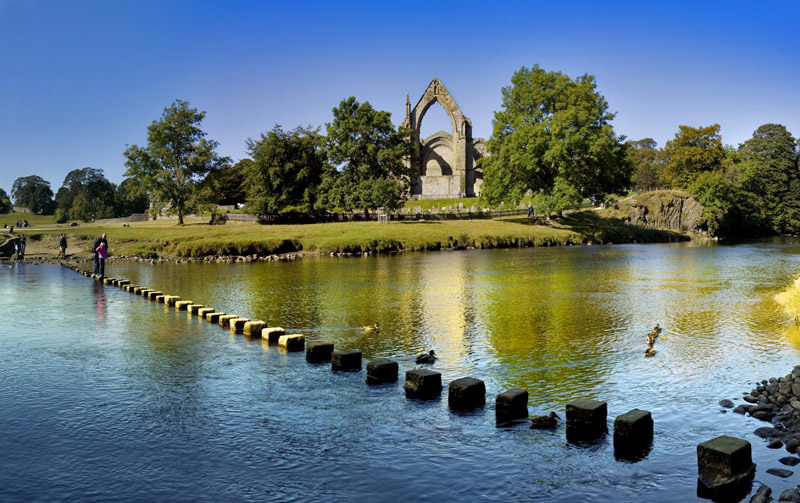 stepping stones Wallpaper mural