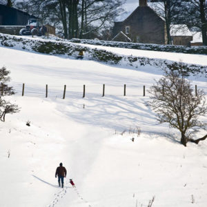 winter walk Wallpaper mural