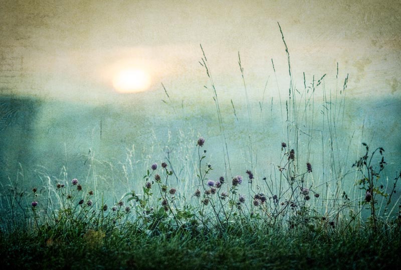 Autumn sunrise 1x Collection - Pictowall Custom Wallpaper