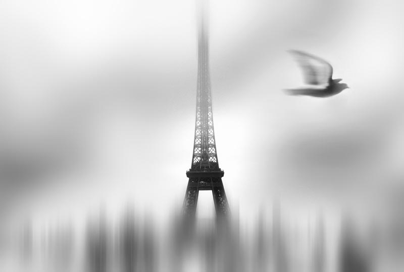 Eiffel serene 1x Collection - Pictowall Custom Wallpaper