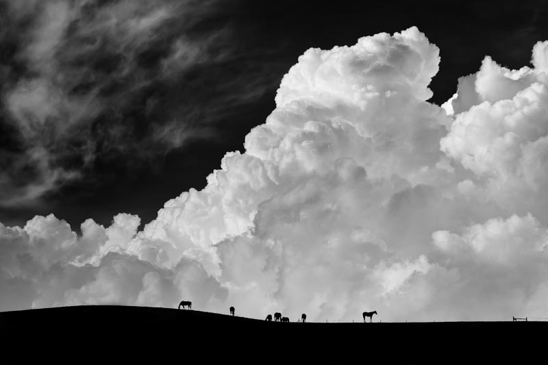 The Calm Before the Storm 1x Collection - Pictowall Custom Wallpaper