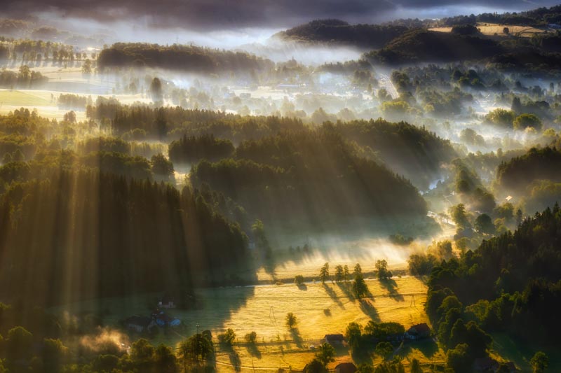 In the Morning Mists 1x Collection - Pictowall Custom Wallpaper